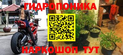 альфа пвп Заводоуковск